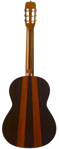 tr-delvino-1-coral.jpg